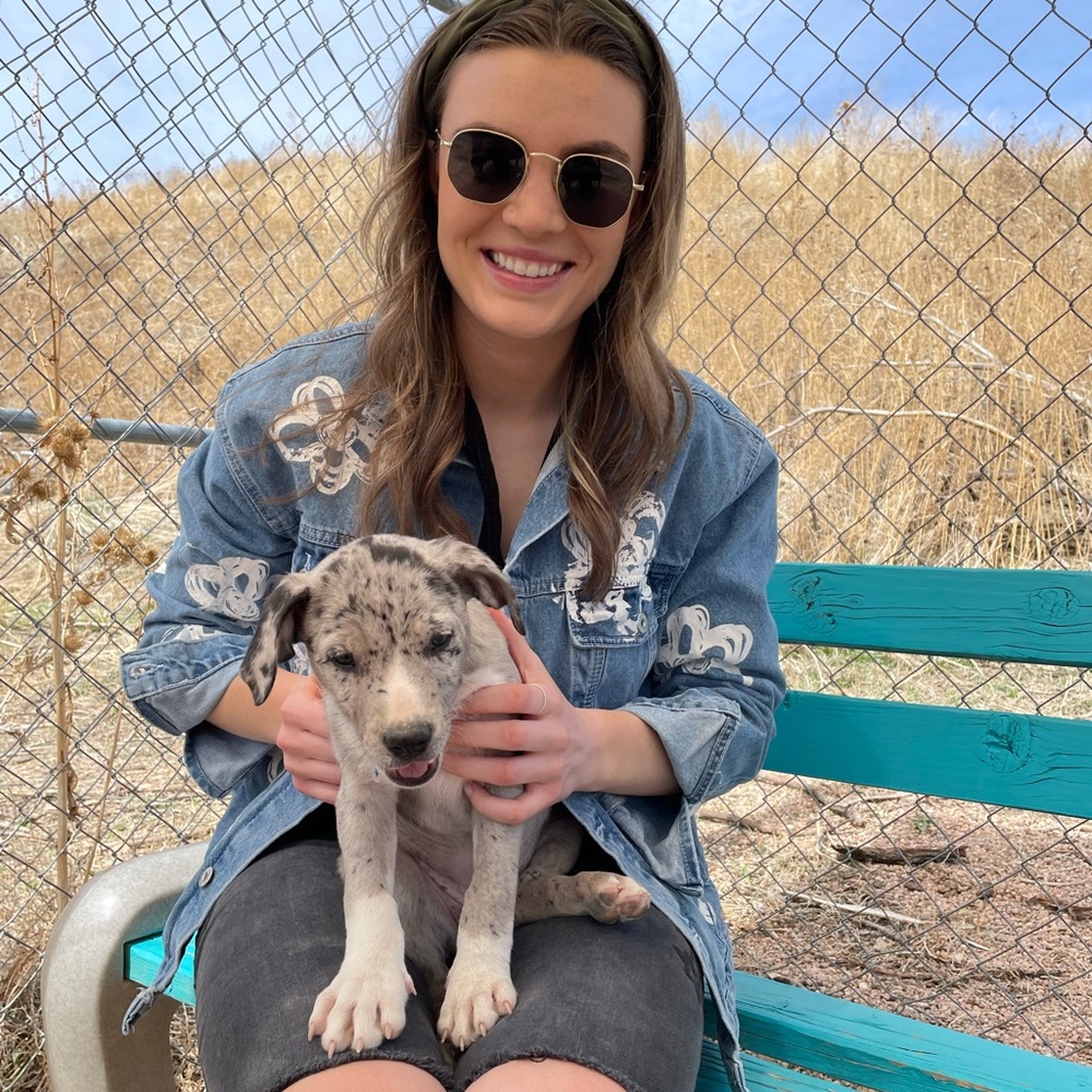 Meet your Posher, Lisa